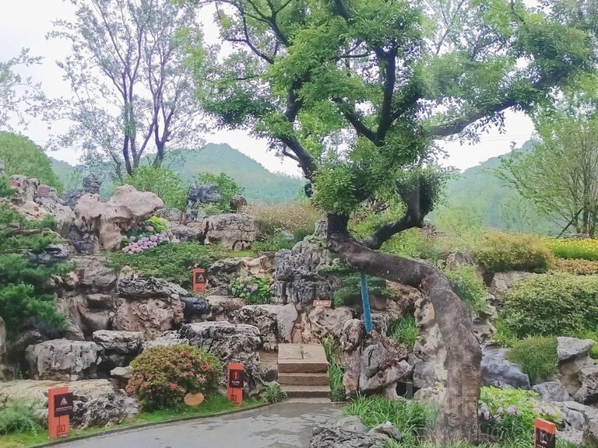 场地图 2