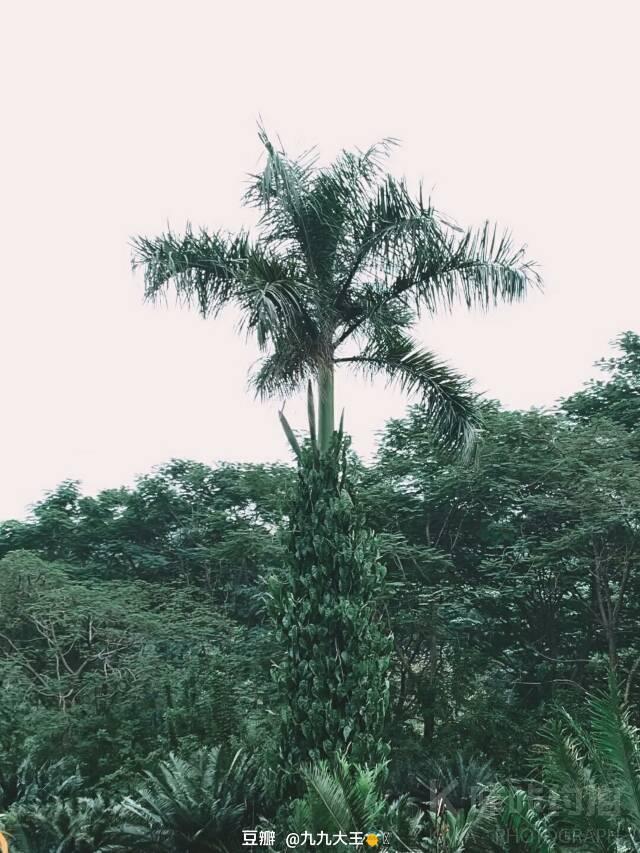 场地图 5