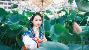 独角龙