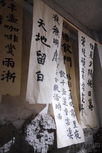 ryh爱拍照