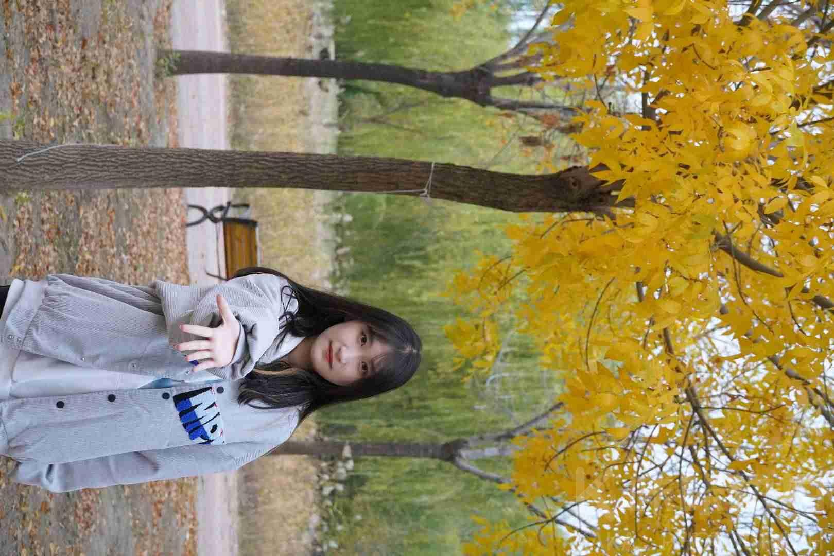 作品图 5