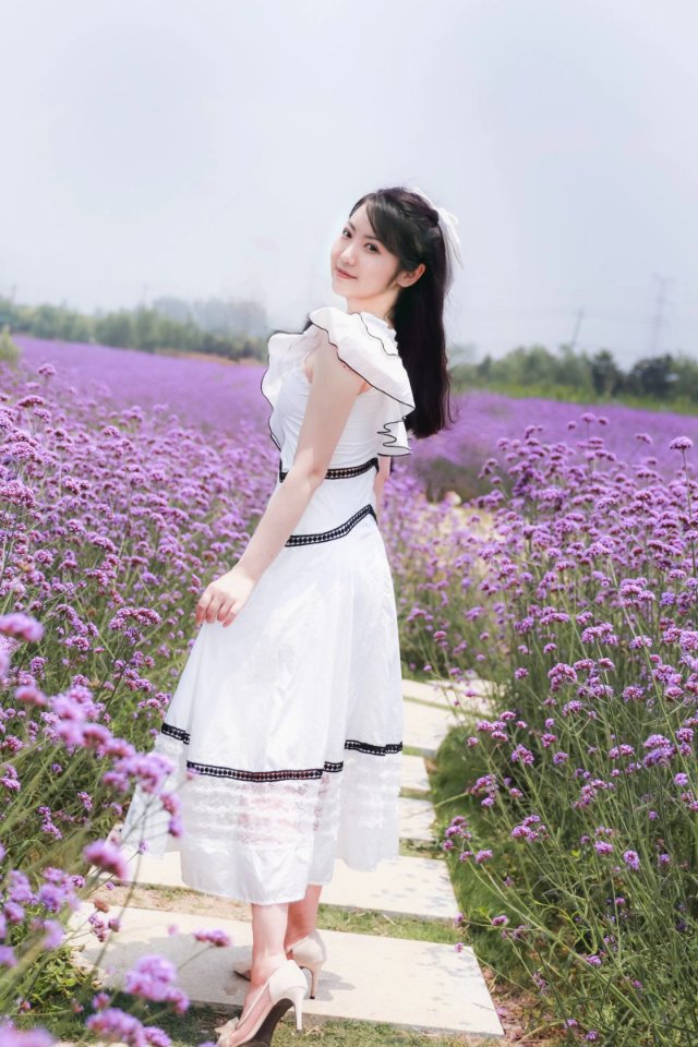 作品图 6