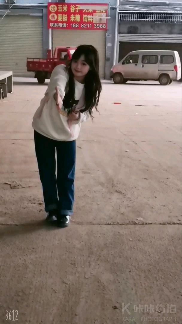 作品图 6
