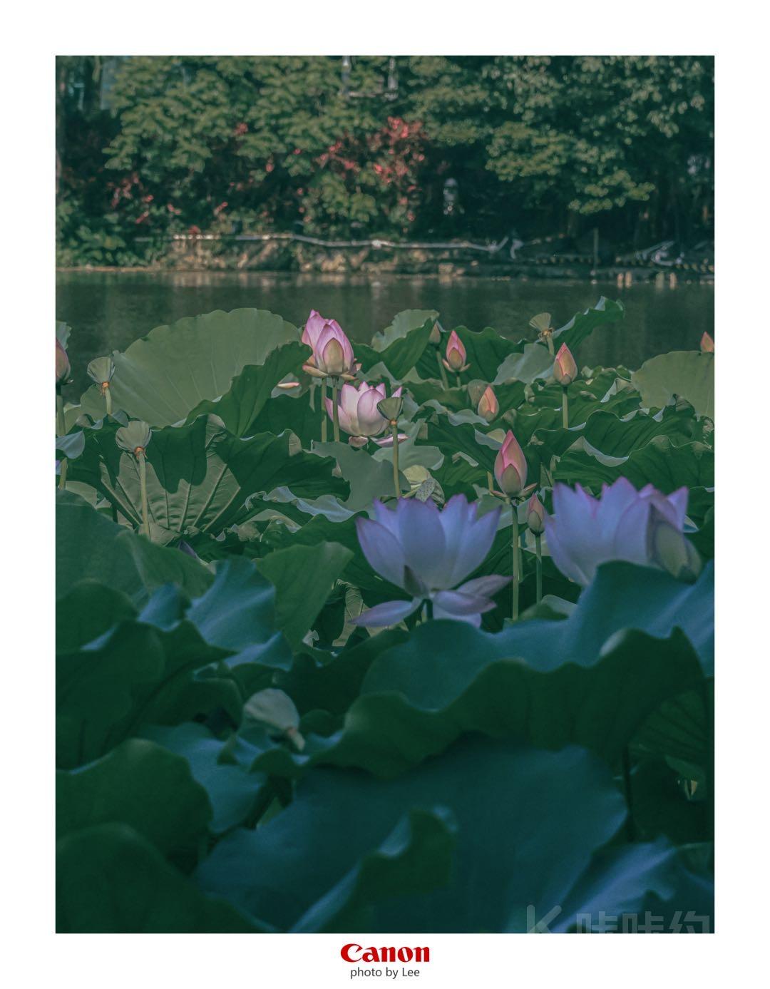 作品图 2