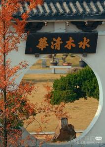 麦吉