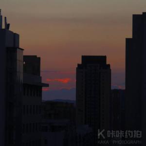 陈墨