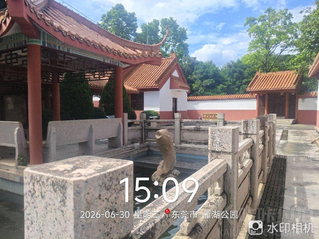 作品图 5