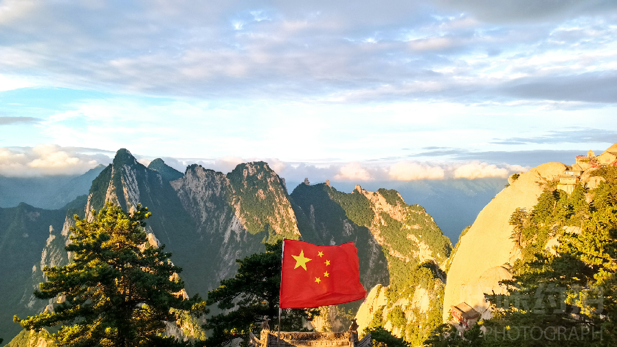 张天天
