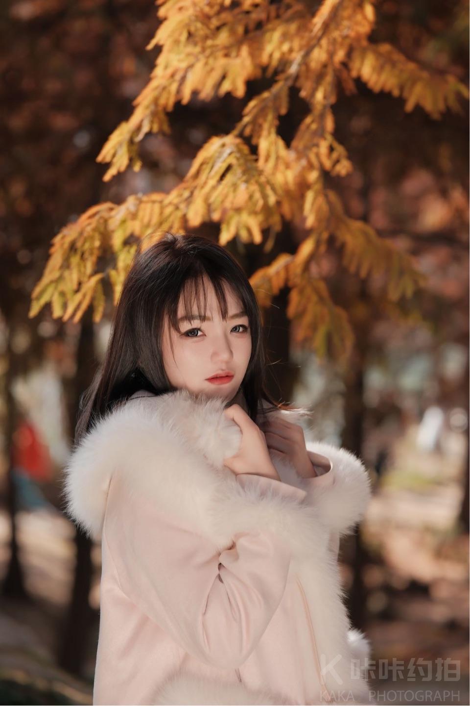 作品图 11