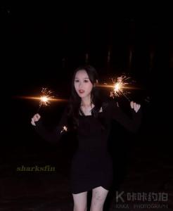 摄影师~鱼翅