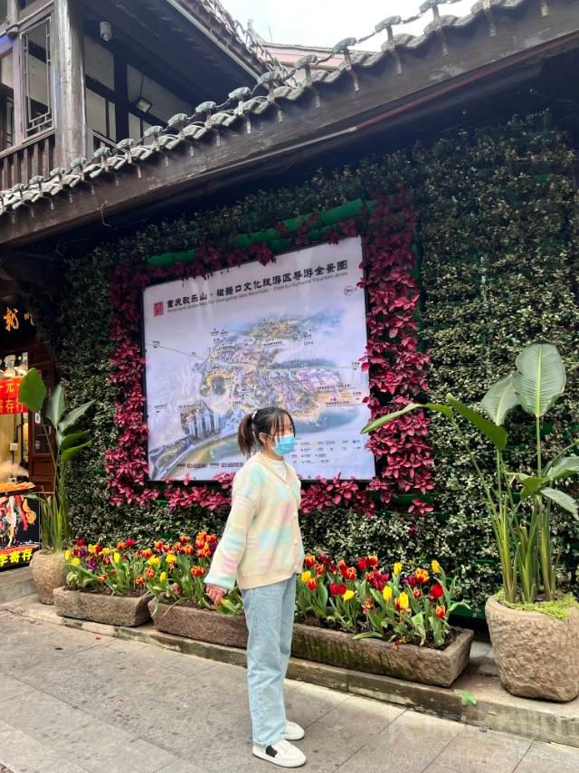 作品图 1
