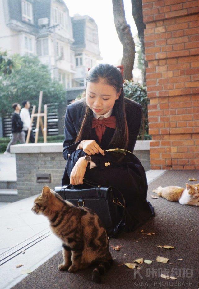 作品图 8