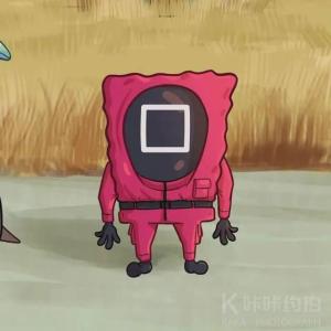 阳光果粒陈