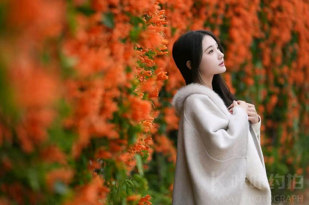作品图 2