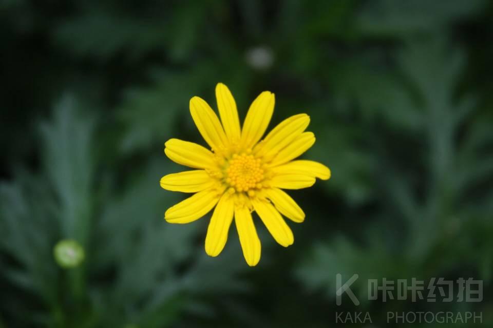 作品图 4
