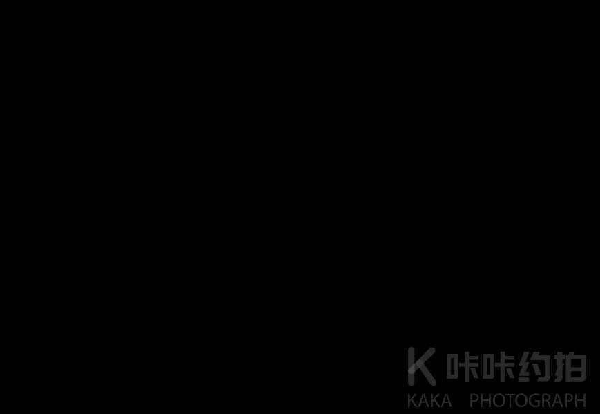 作品图 5