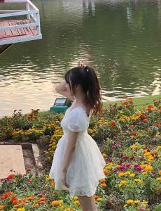 巴沙鱼