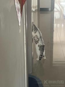 约拍图 1