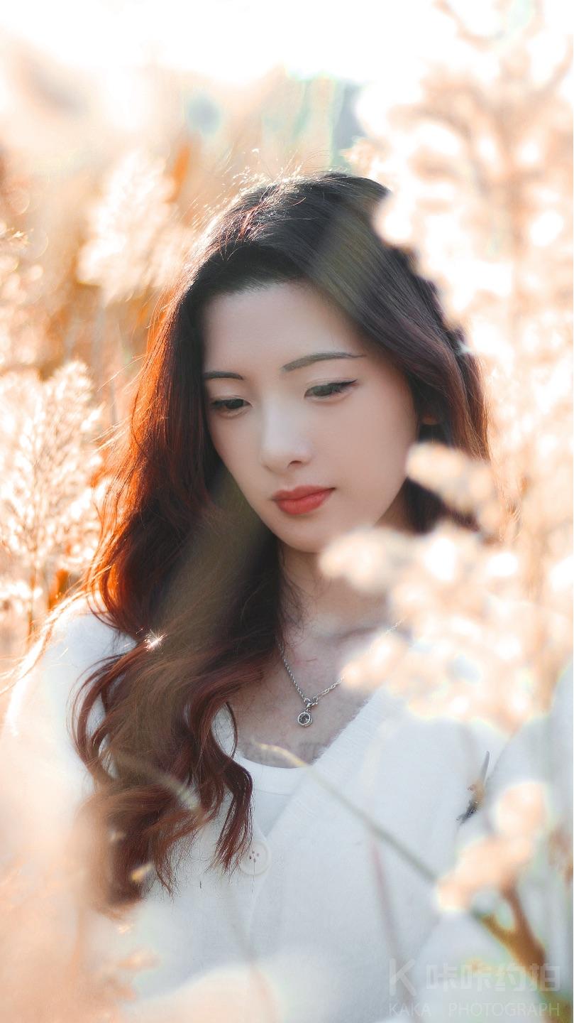 作品图 3
