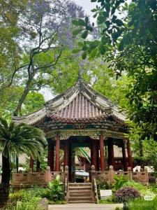 麦吉