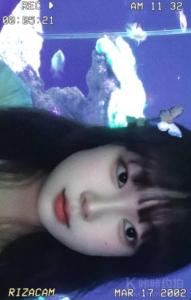 佳妮