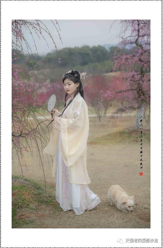 作品图 6