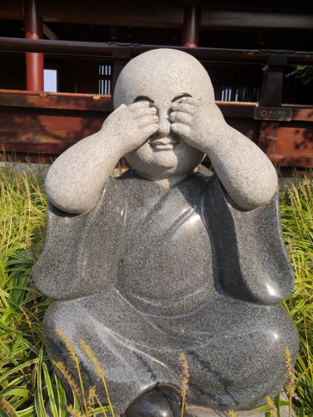 场地图 8