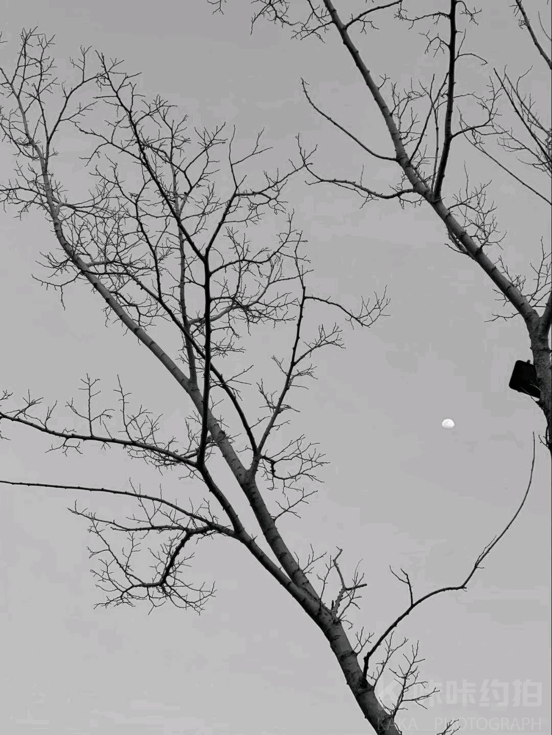 作品图 15