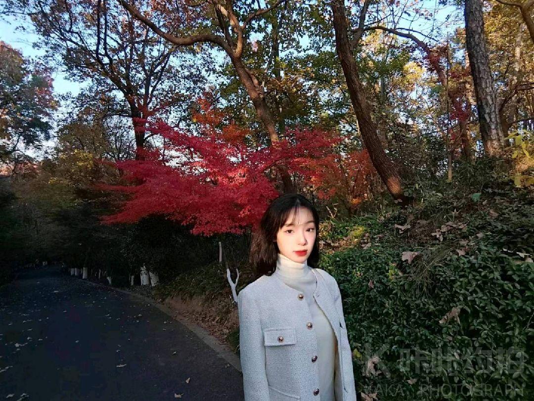 作品图 4