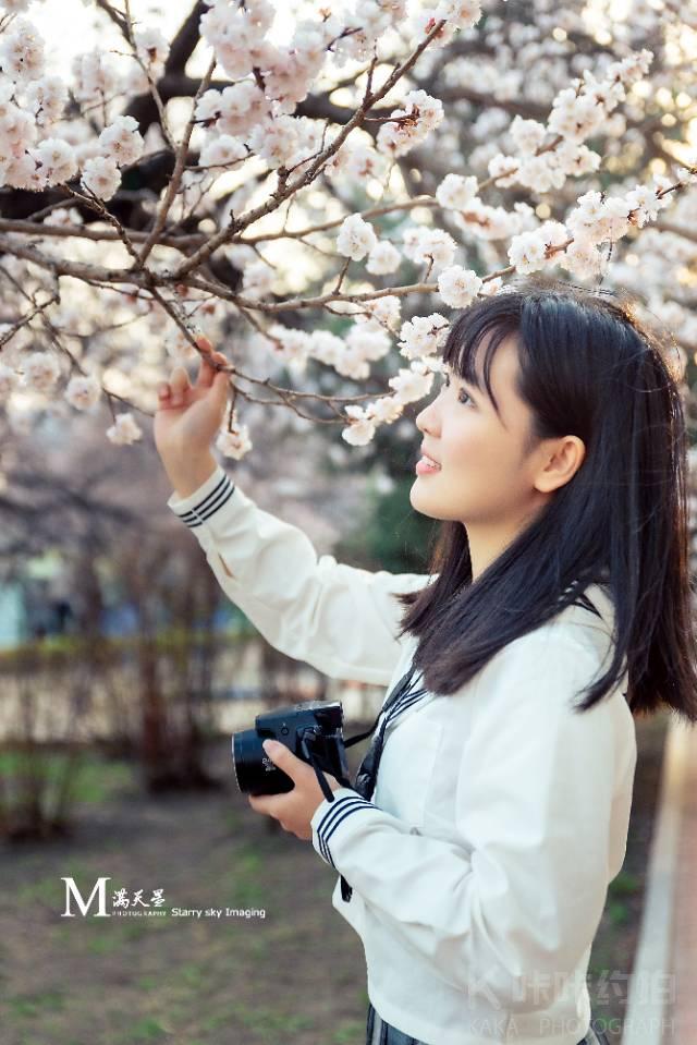 作品图 8