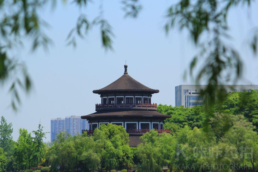 作品图 7
