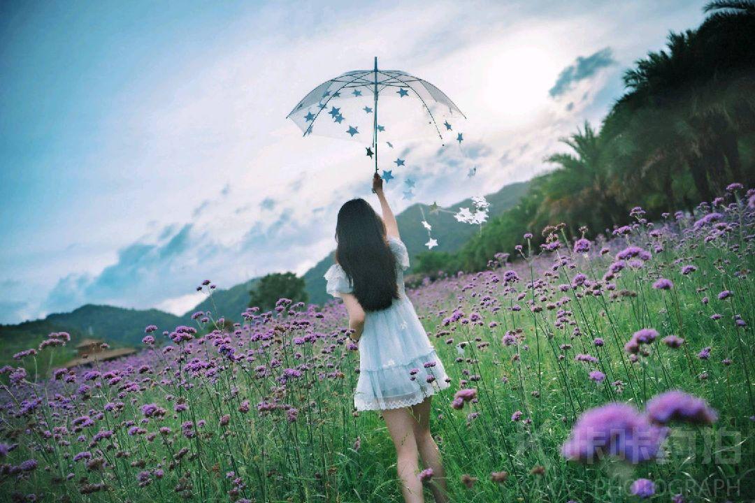作品图 2