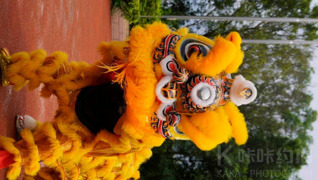 作品图 4