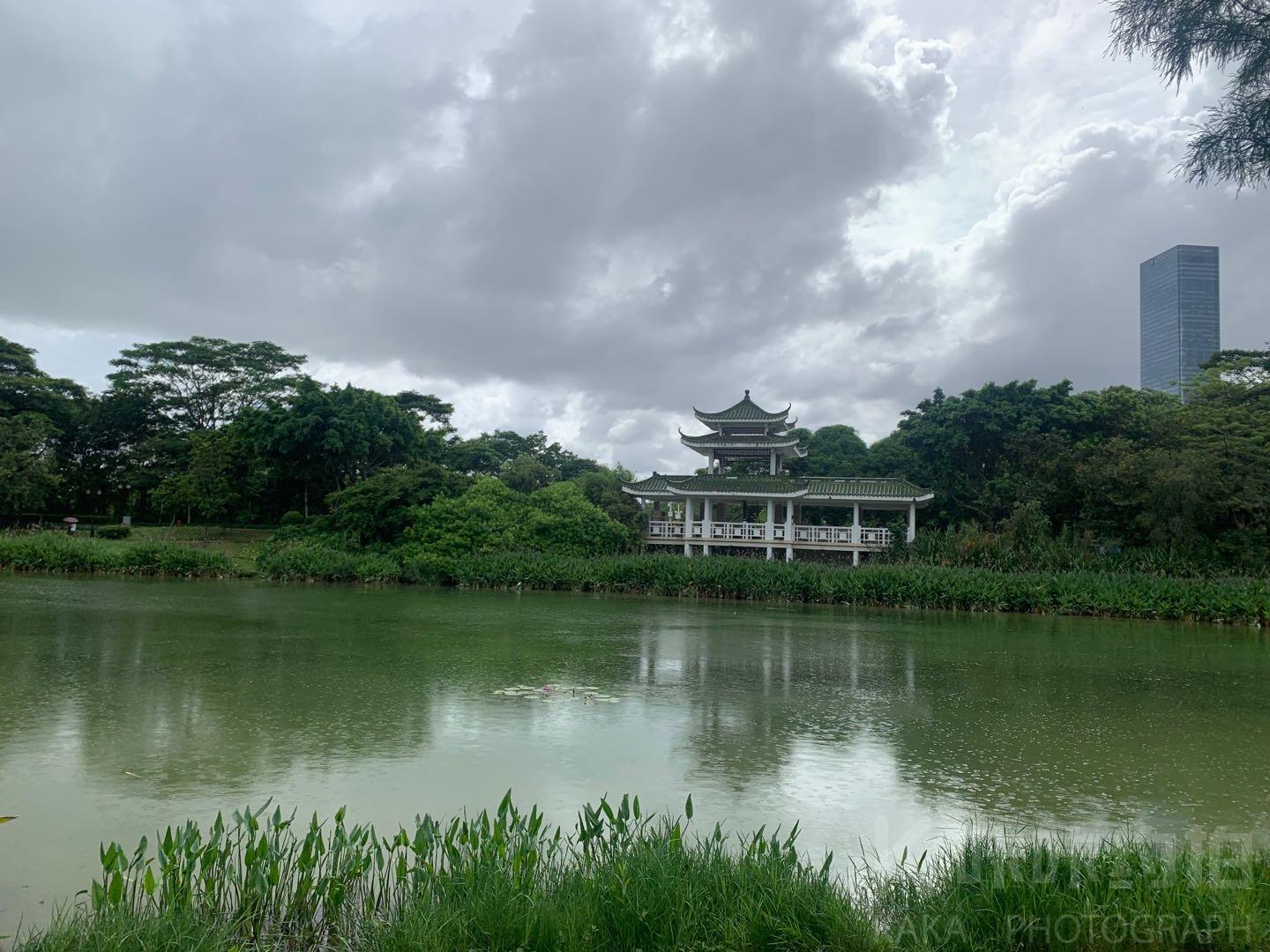 中心公园