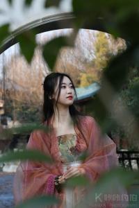 骑驴上高速