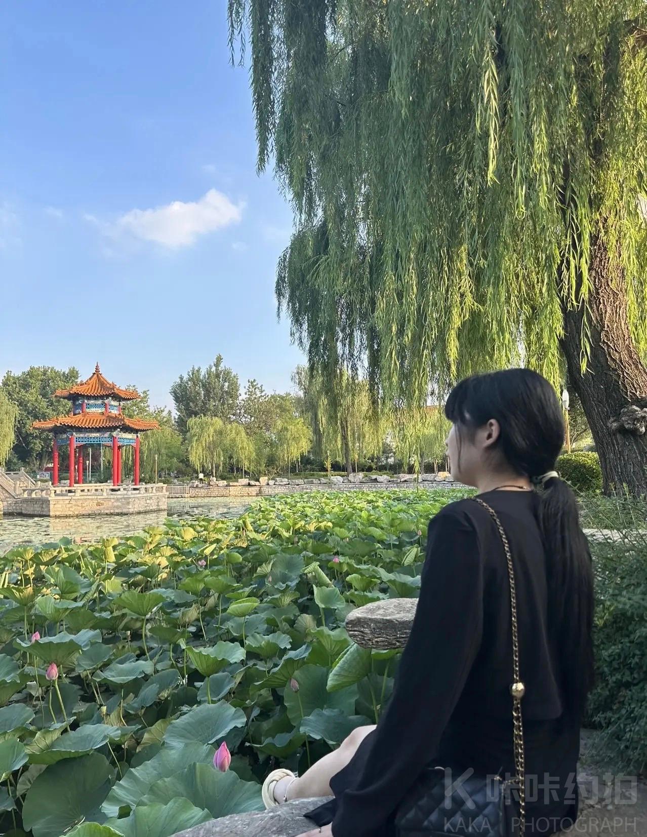 场地图 3