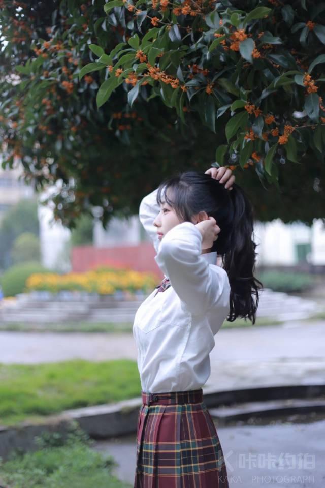 作品图 2