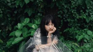 saga