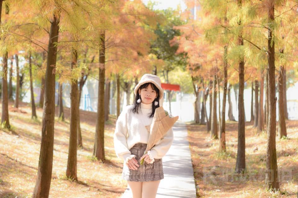 作品图 6