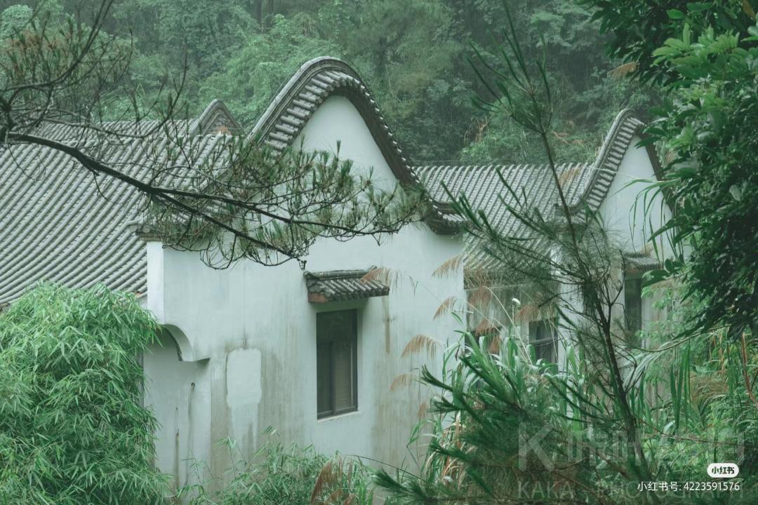 场地图 9