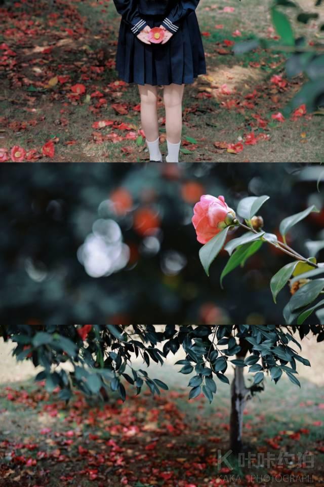作品图 8
