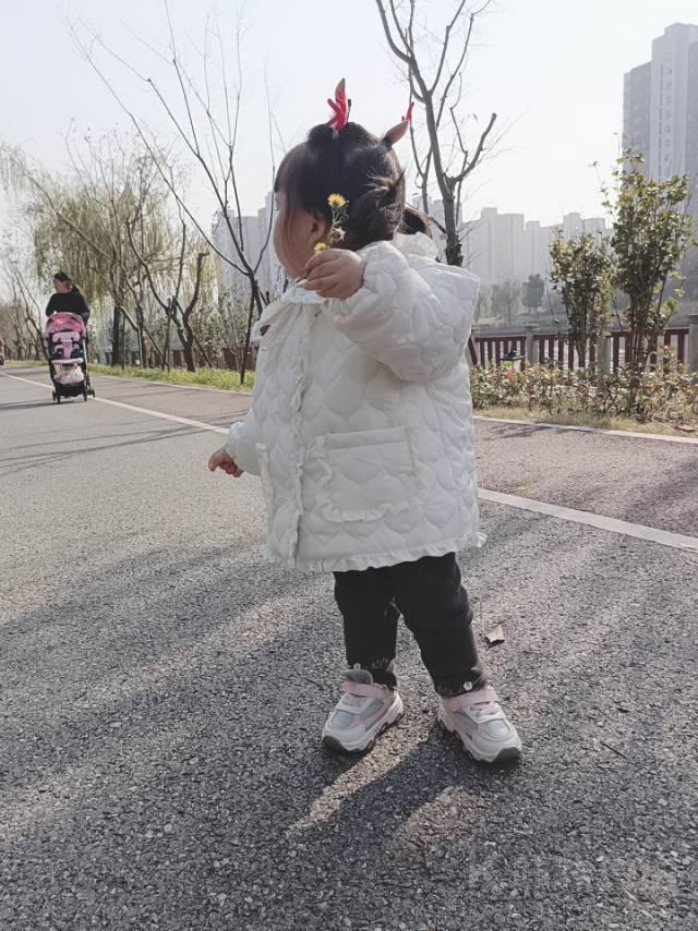 作品图 4