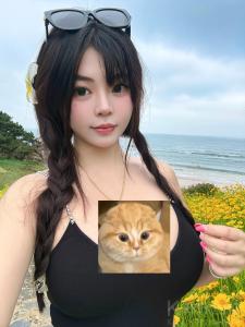 乖乖