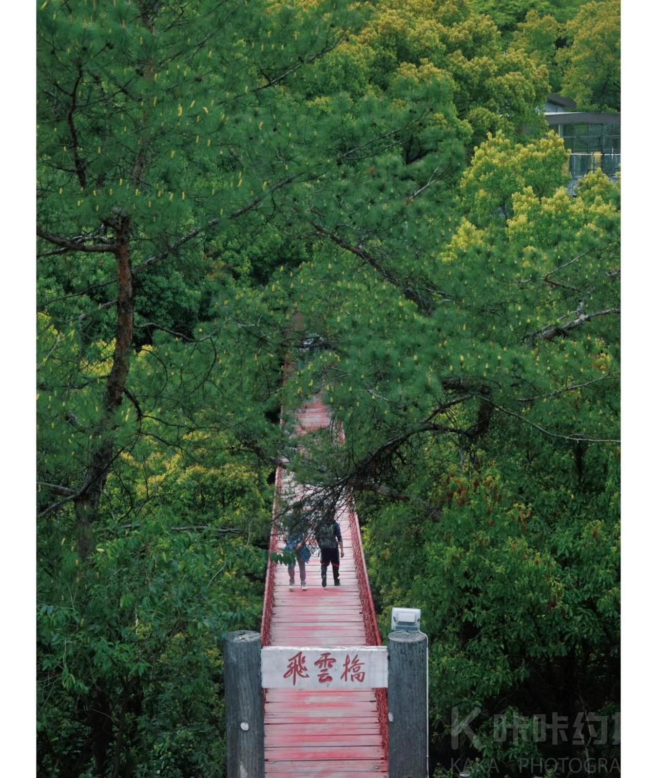 场地图 4