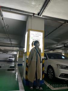 王琳