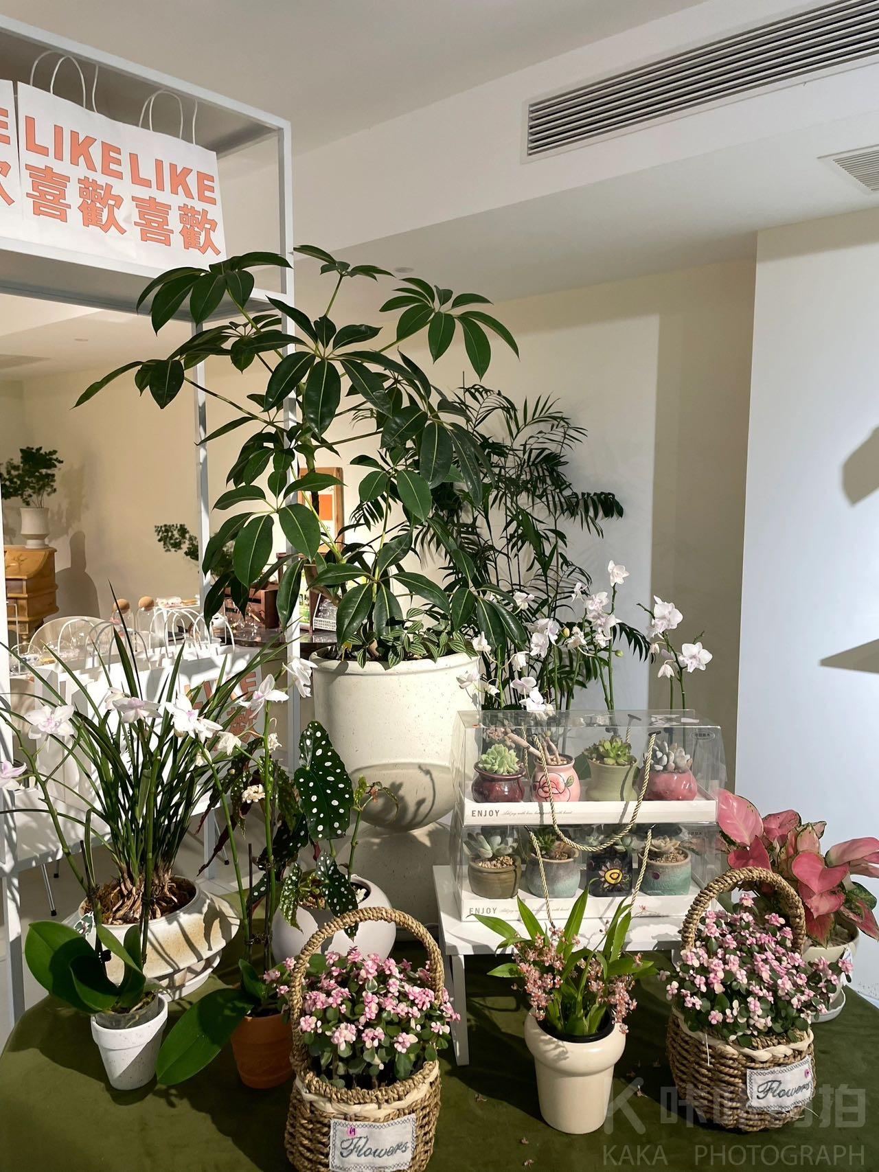 场地图 5
