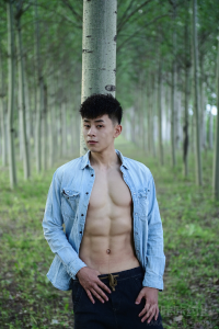 张晋伦