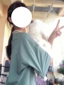 土豆