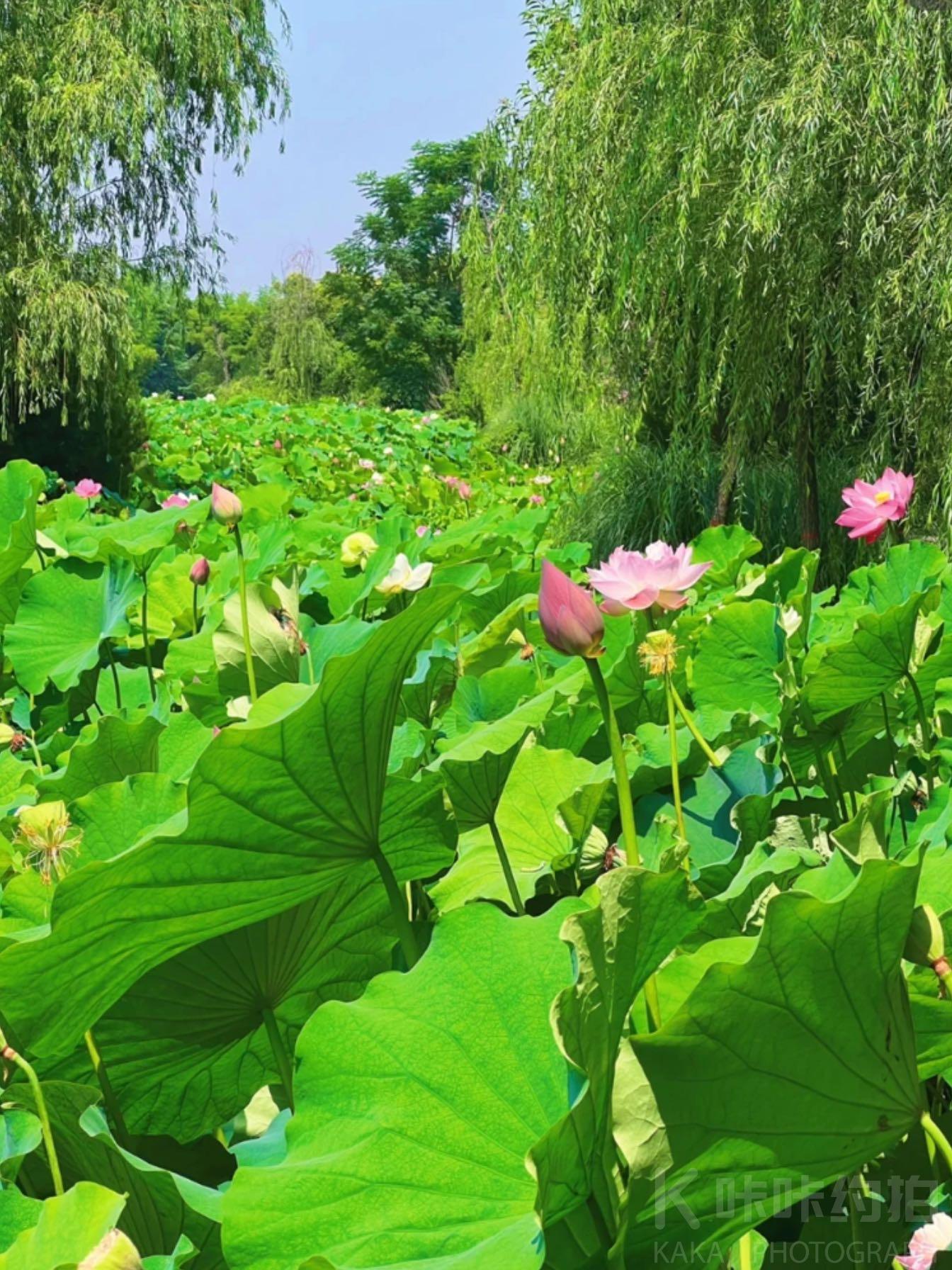 场地图 6