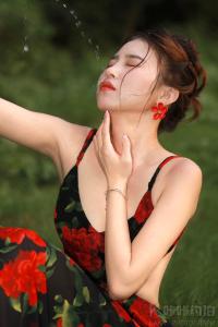 白天不与黑夜